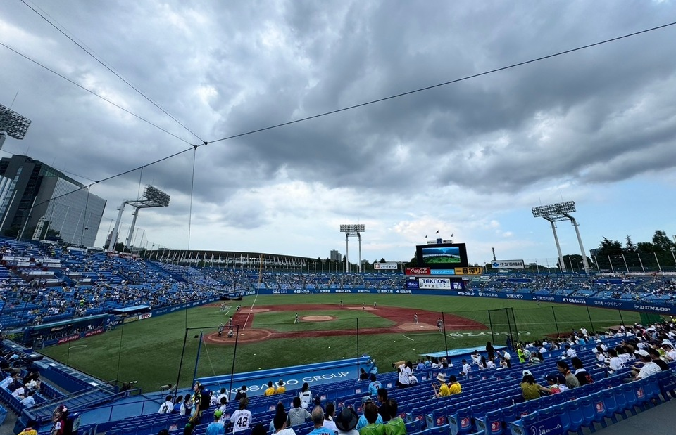 Professional Baseball Viewing