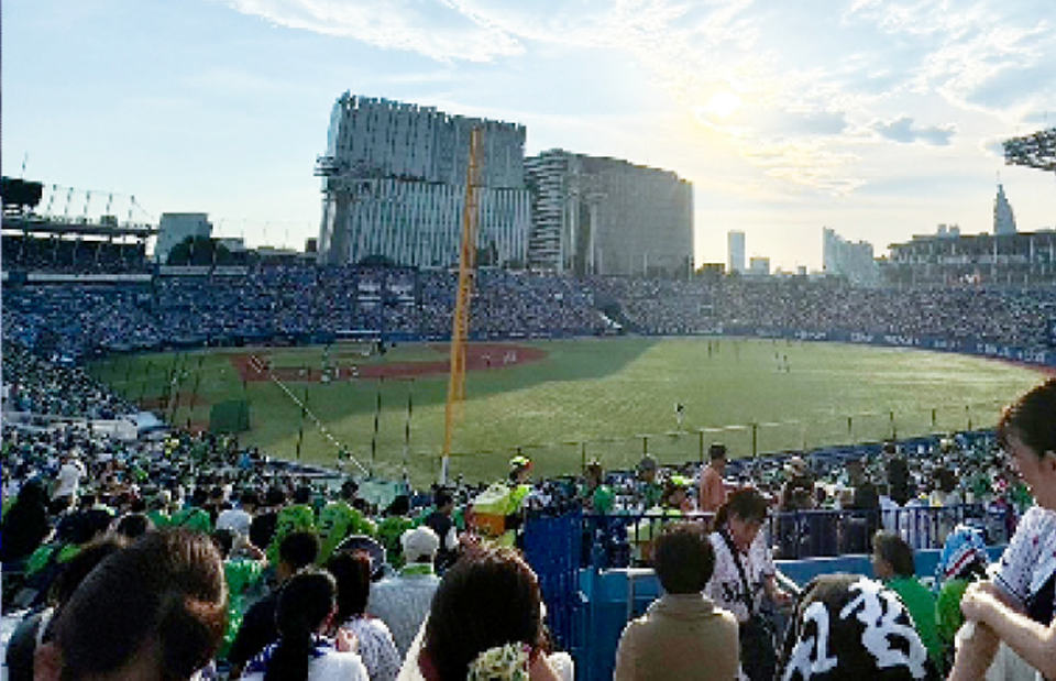 プロ野球観覧